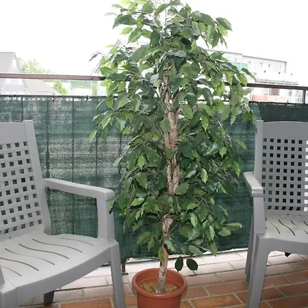 宾馆 Gaestehaus Beim Prinz